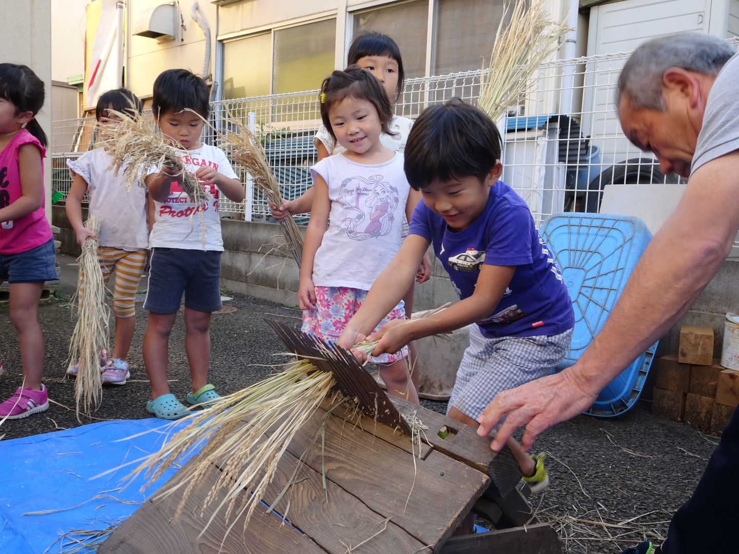 麦っ子ニュース